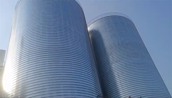 彭阳2座混凝土高架卷板仓